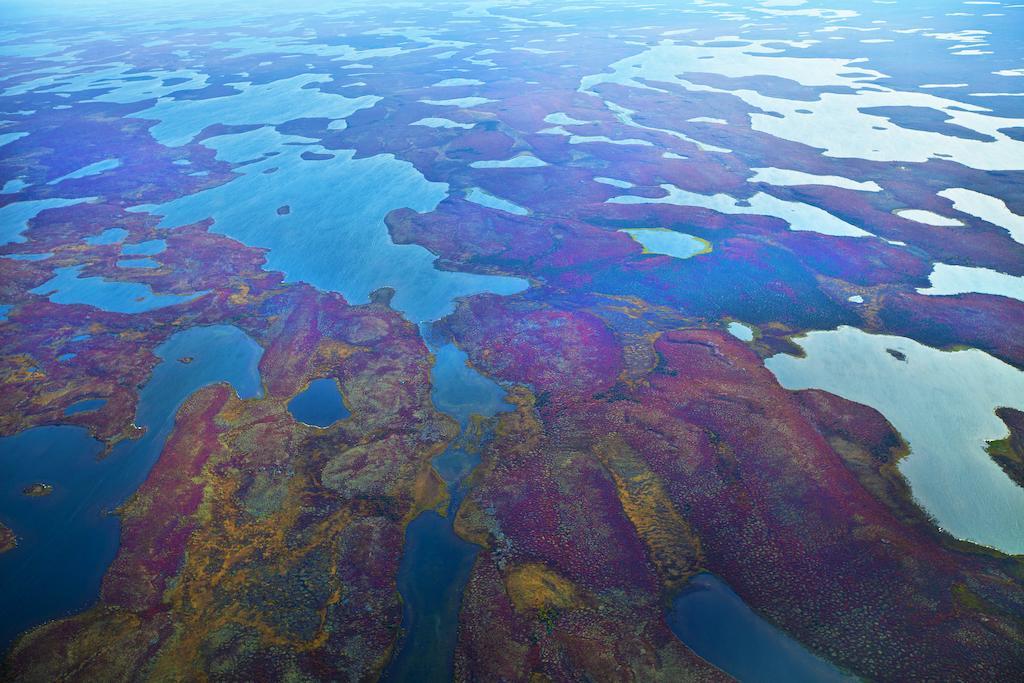 Peterson'S Point Lake Lodge Йеллоунайф Экстерьер фото